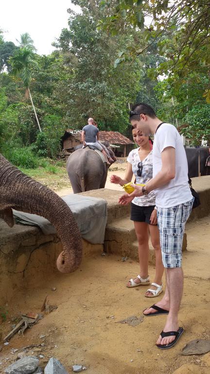 Suwani Pinnawala Homestay Buitenkant foto
