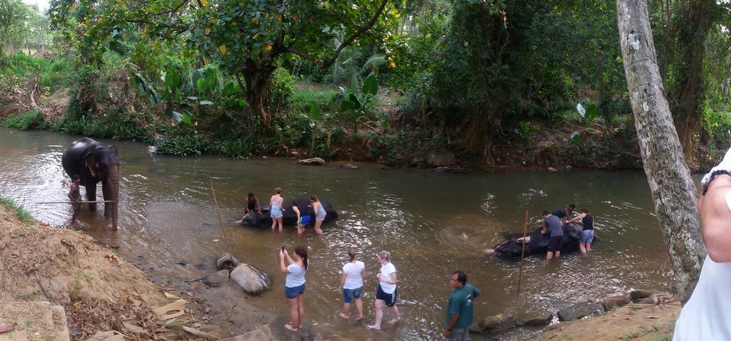 Suwani Pinnawala Homestay Buitenkant foto