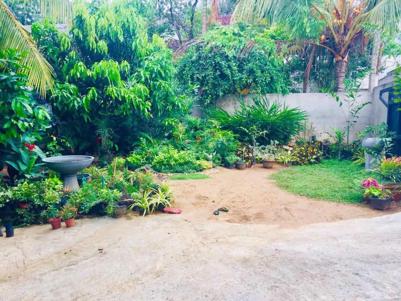 Suwani Pinnawala Homestay Buitenkant foto